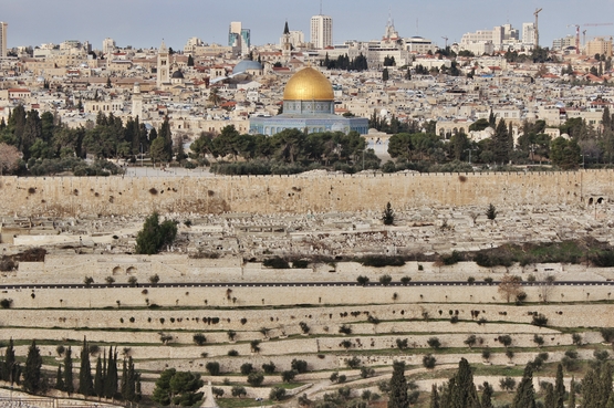 תמונת מופע: טיול לירושלים