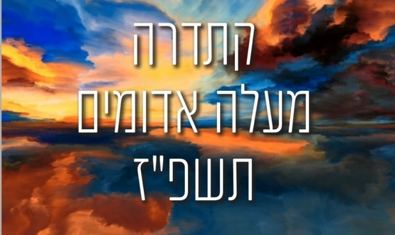 תמונת מופע: הרצאות קתדרה- שמעון ביטון&colon;  התמר בארץ ישראל